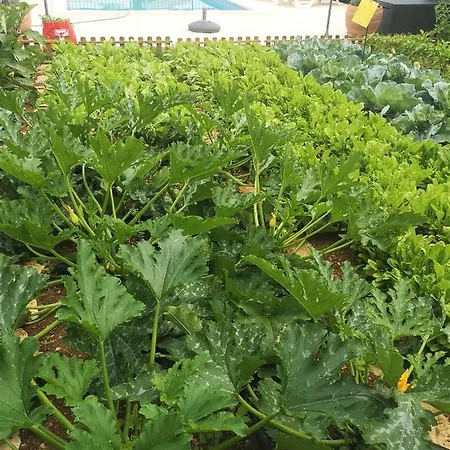 Mendula - Luxury By The - Heated Pool - Lush Garden * Traù