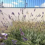 Villa Mendula Trogir - Luxury Villa By The Beach - Heated Pool - Lush Green Garden Villa *