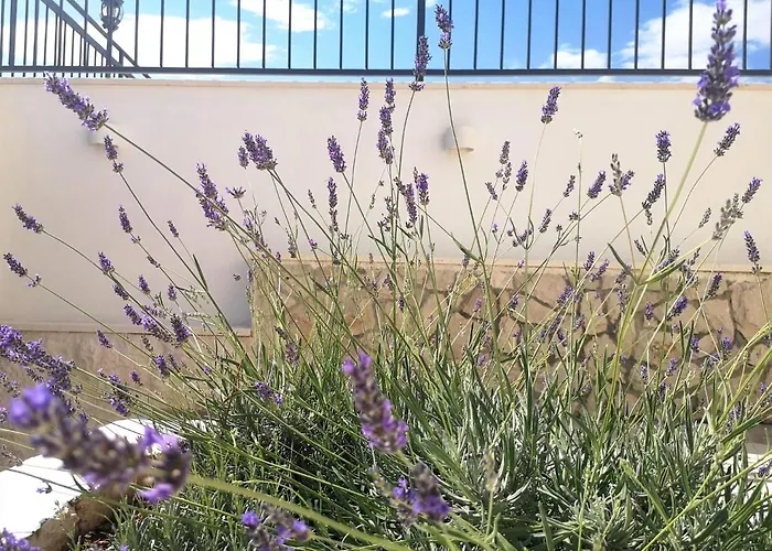 Mendula - Luxury By The - Heated Pool - Lush Garden Βίλα *