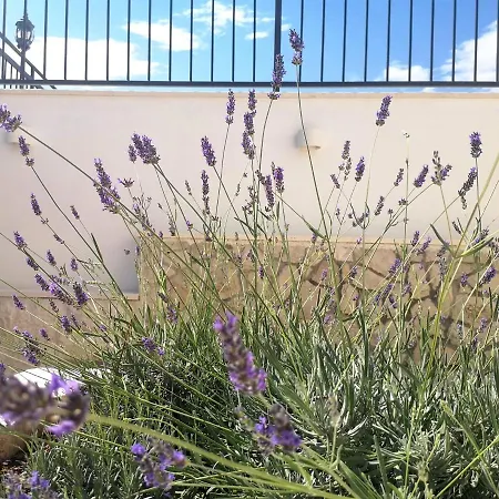 Mendula - Luxury By The - Heated Pool - Organic Garden Willa *