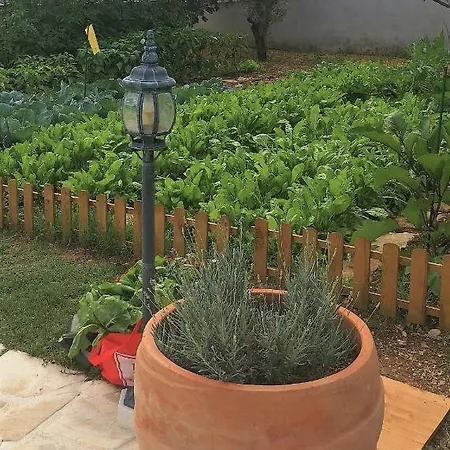 Mendula - Luxury By The - Heated Pool - Organic Garden Willa *